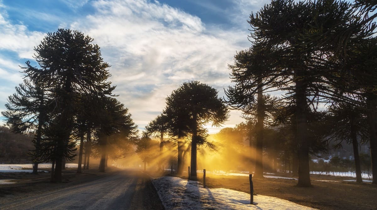 Налоги с Русаудитом: выпуск №44